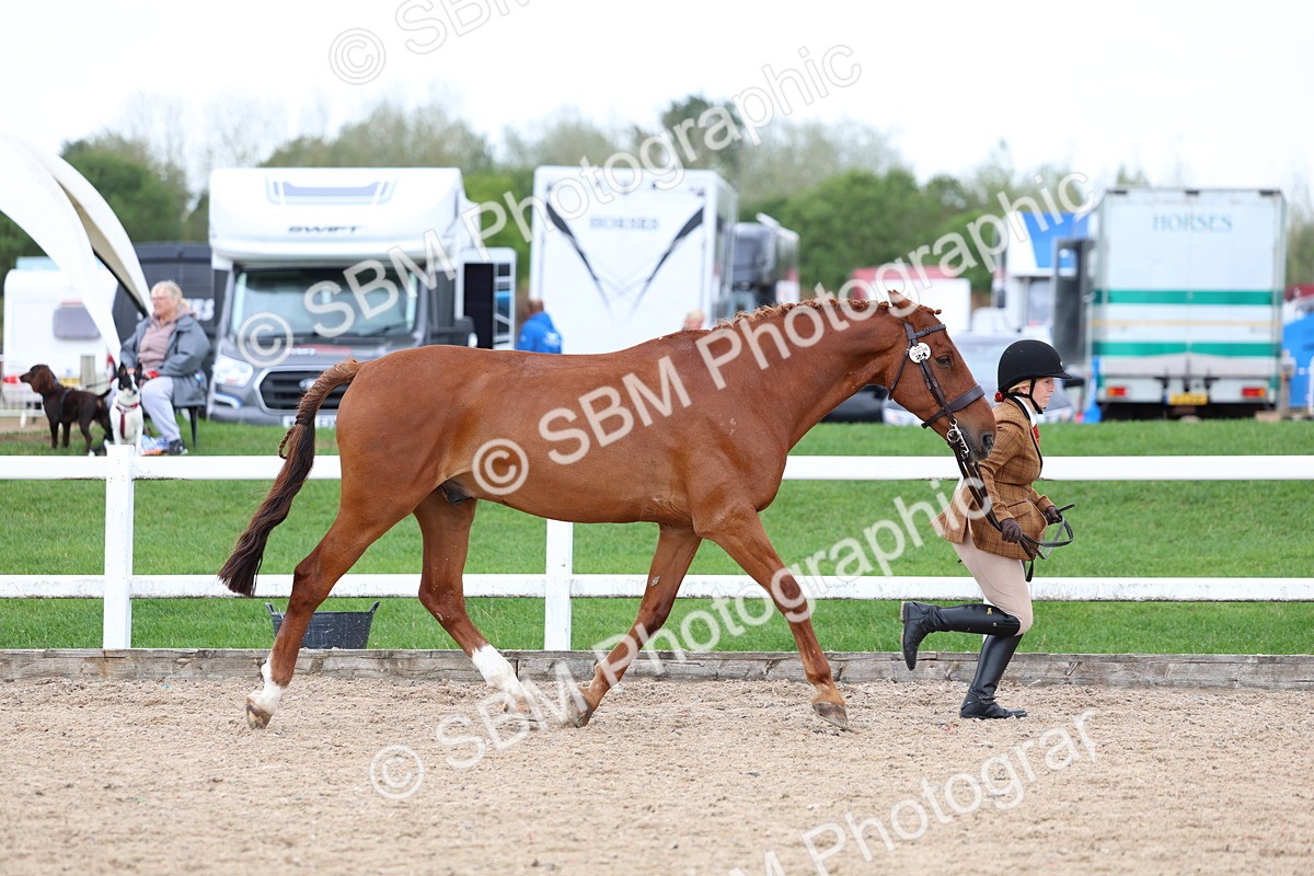 SBM_05722 - Class 28 - IH Veteran Horse