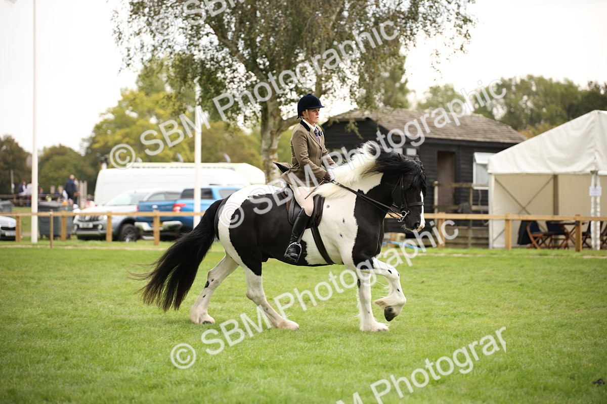 SBM_73523 - S68 - Traditional Cob Ridden
