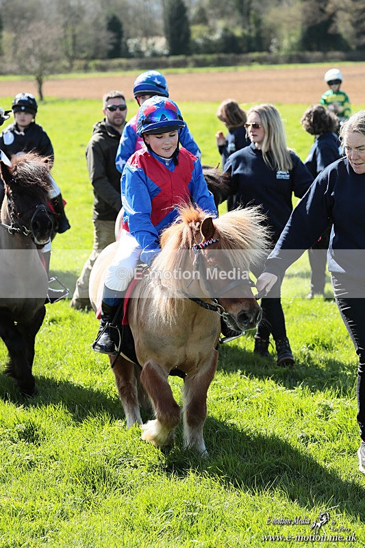 Shet 060426 358 - Shetland Pony Racing Paxford Races Easter Mon 06/04/26