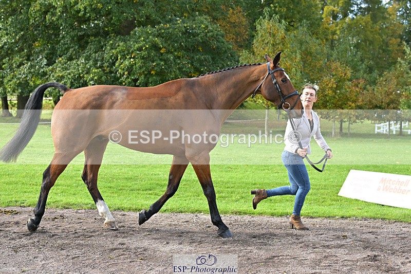 241023-131617-00164 - 057-Louisa.Lockwood-KILCANNON.OREO