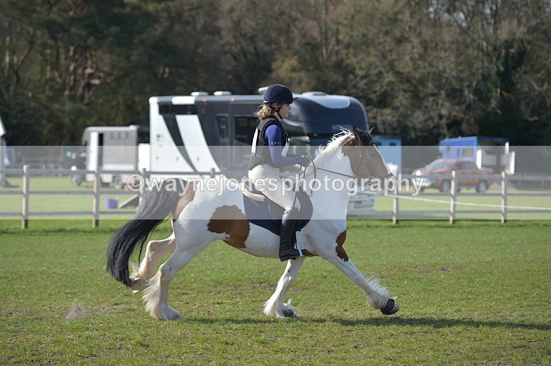 NGP_2666 - Time 14:44 to 15:11