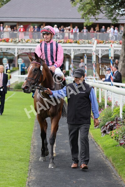 yr19082021r7-30 - Race 7 5.20pm British Stallion Studs EBF Fillies' Stakes