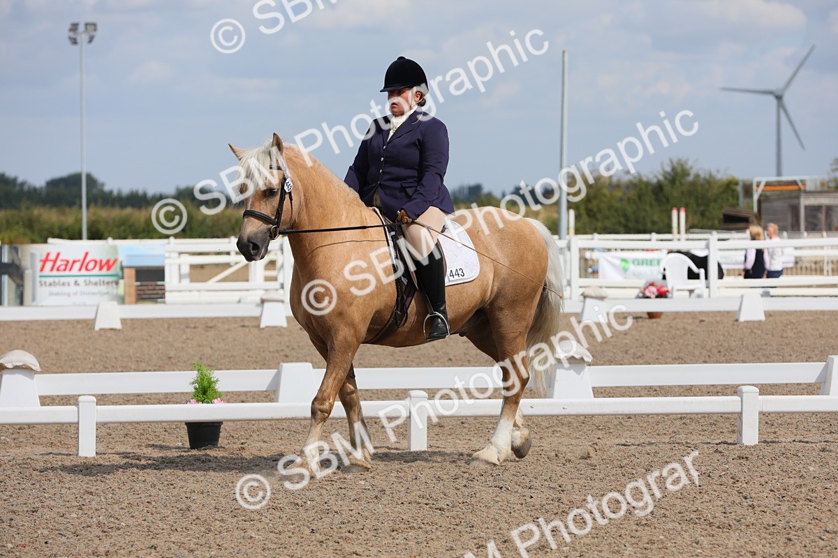 SBM_04028 - Class 31 Prelim 1