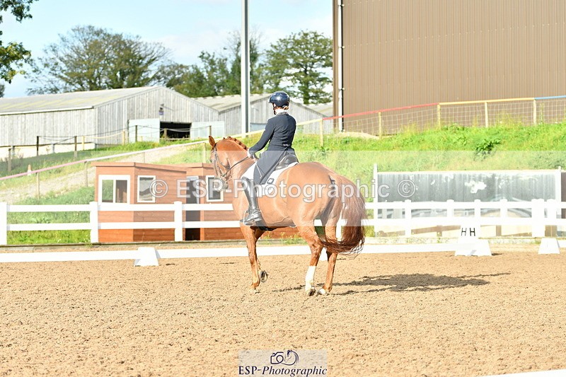 230912A-172611-02014 - Cls 23 FEI Grand Prix