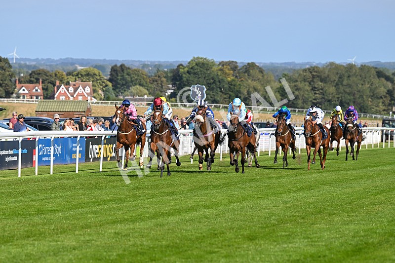 180924-Race 4-Surprised-4443 - Race 4