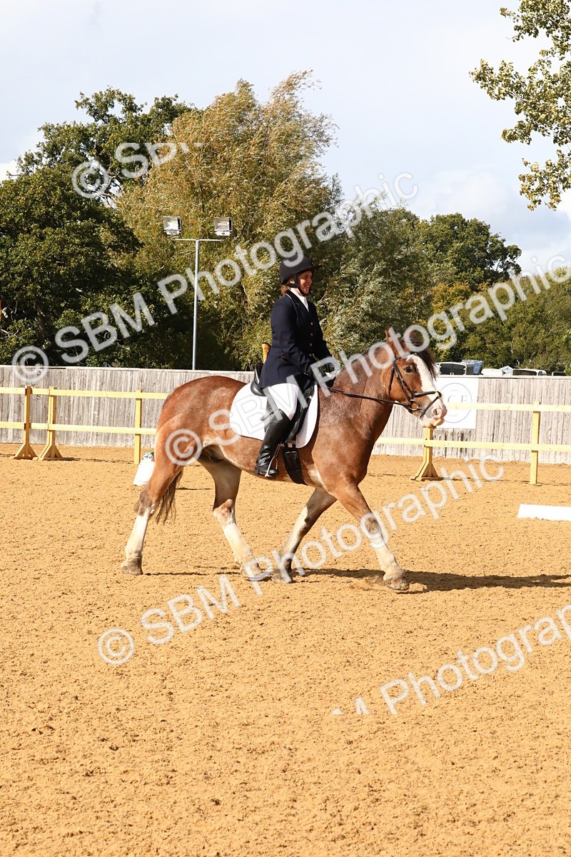 SBM_23597 - D5 - Small Tour Championshop Intro 2