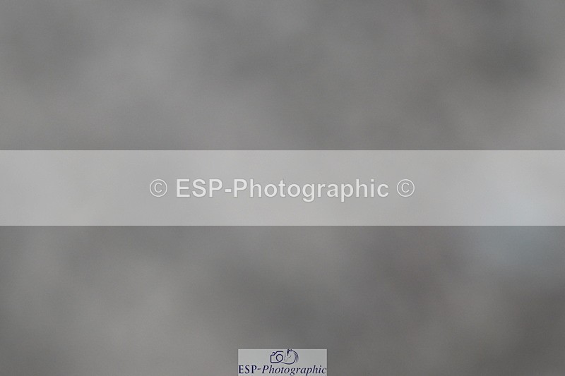 240611A-184016-01005 - 50cm