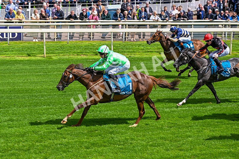 120626-Race 2-Everatease-6848 - Race 2 14.25pm Constant Security Keeping York Racegoers Safe Rous Selling Stakes