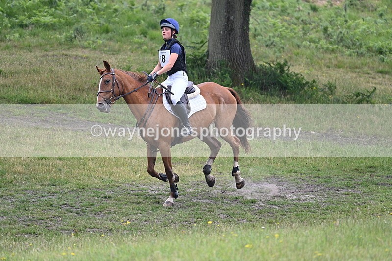 WJ7_9368 - Time 11:26 to 11:40