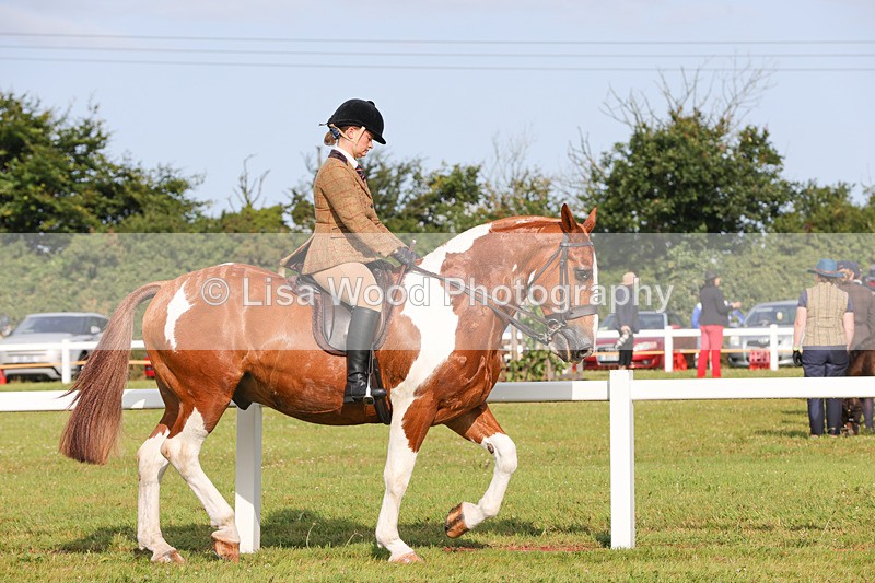 1X9A3114 - Class 27:  Ridden Native/Trad Coloured Horse
