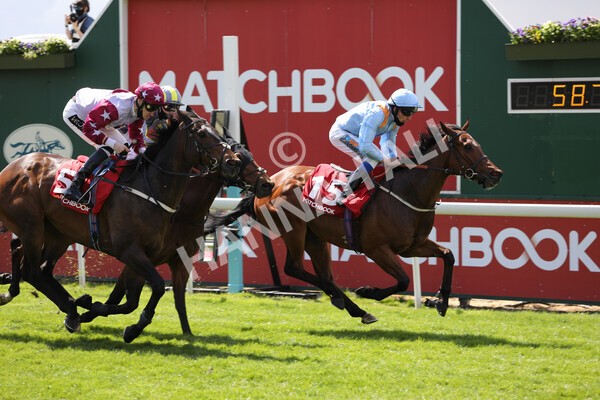 yr13052021r1-29 - Race 1 1.40pm The Matchbook Betting Exchange Stakes