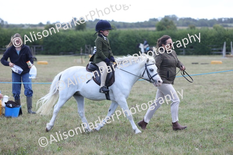 20250831-2385 - Class 16 - Family Pony