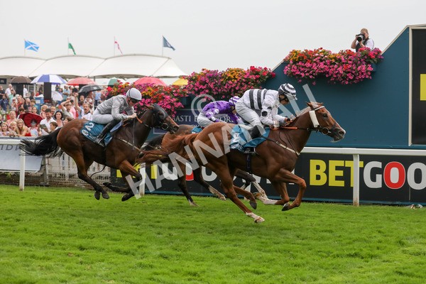 100923-Race 7-Looking For Lynda-4035 - Race 7 4.55pm Brian Taylor 50 Not Out Apprentice Handicap