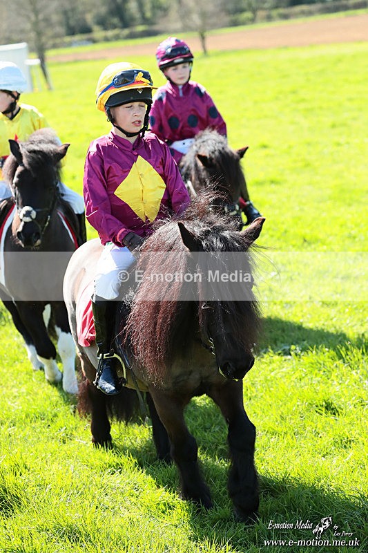 Shet 060426 234 - Shetland Pony Racing Paxford Races Easter Mon 06/04/26