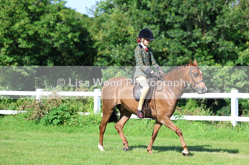3E7A5945 - Class 27: Novice Working Hunter Pony