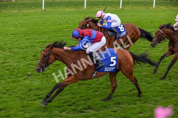 220824-Race 4-Content-7703 - Race 4 3.35pm Pertemps Network Yorkshire Oaks