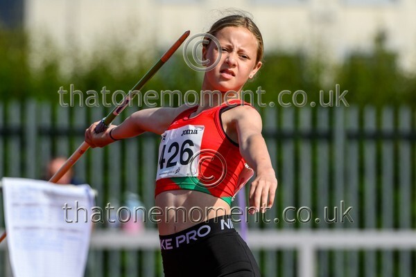 Age25SUN-928828 - Field Female Set Two