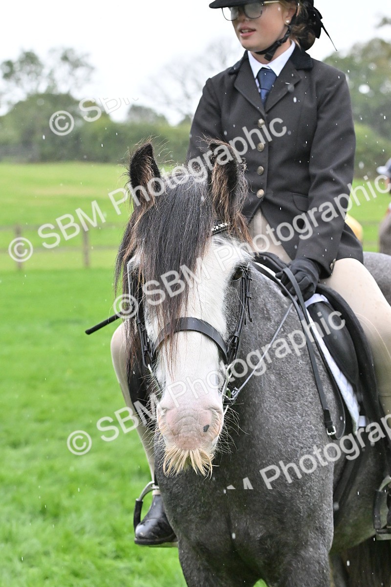SBM_42975 - S12 - Family Horse & Pony