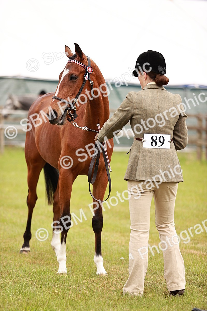 SBM_01707 - Class 31-34 Hack Breeding