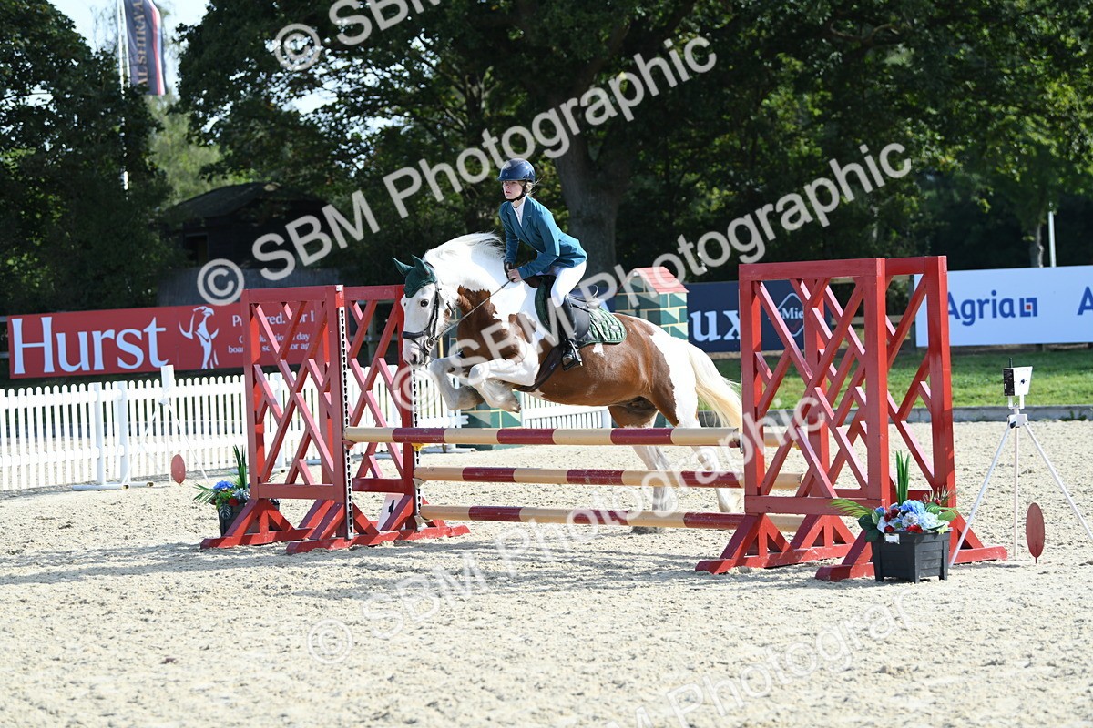 SBM_61581 - j25 - Junior Horse 80cm Championship