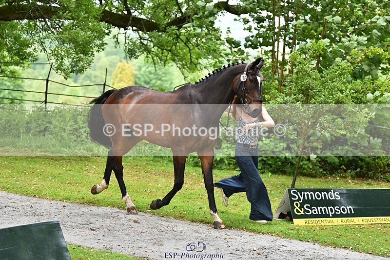 240522-155748-00608 - 108-DROUGHTVILLE_MIKE-Georgina_Beeby_Wynn