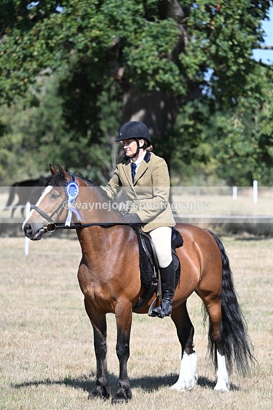 WJ7_4146 - Class 9 Mountain & Moorland Ridden