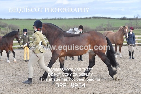 BPP_8934 - RING 2 - M&M