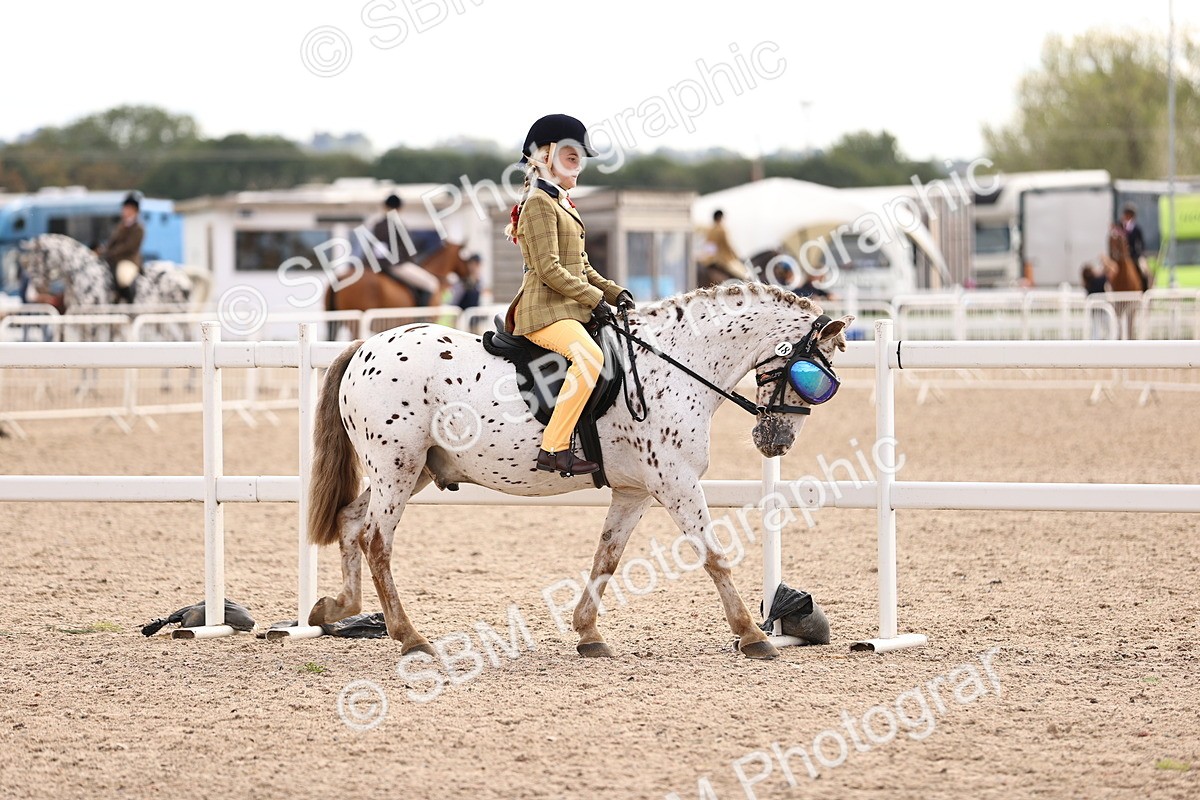 SBM_16126 - Class 420 - Horse-Pony Judge would most like to take home (IH or Ridden) Jnr