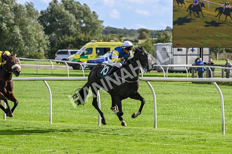080926-Race 5-Lope Y Linda-2710 - Race 5 4.11pm Every Race Live On Racing TV Handicap