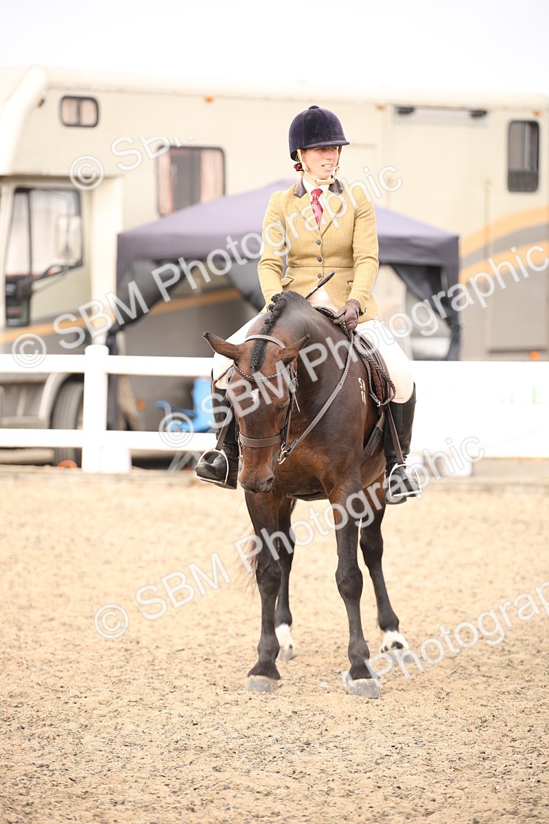 SBM_16234 - Class 409a - Working Veteran 80cm (15-19)