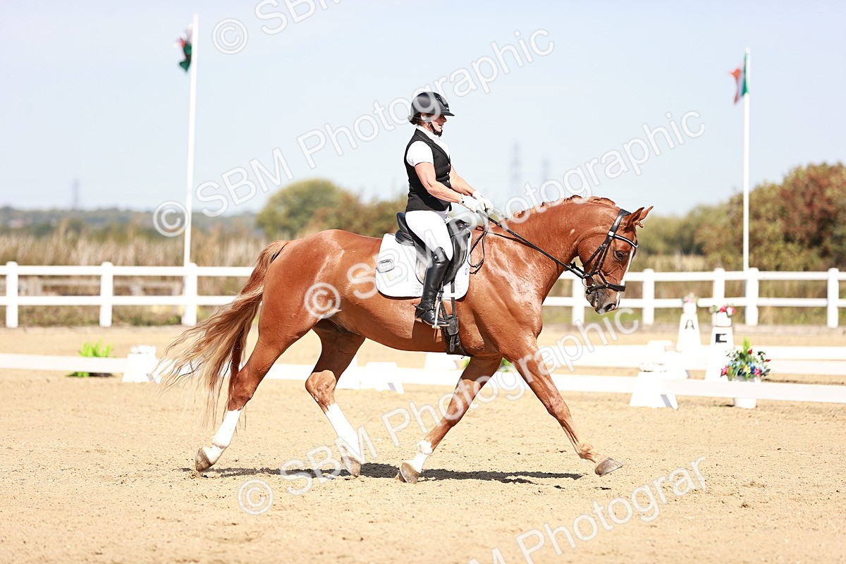 SBM_004563 - Class 12 - Novice 5 - 10.31-11.41