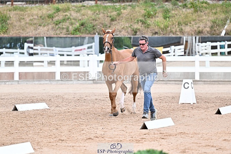 250716-164055-00732 - Trot Up 4.30 to 5.00