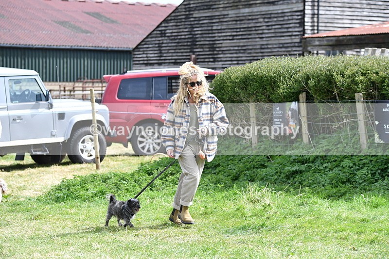 WJ5_9655 - Class 3 Most Handsome Dog