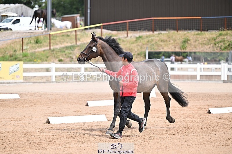 250716-132050-00449 - Trot Up 12.30 to 1.30