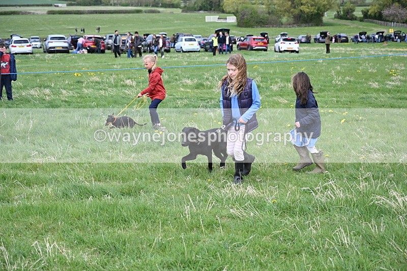 WJ6_8123 - Class 2 Best Pedigree