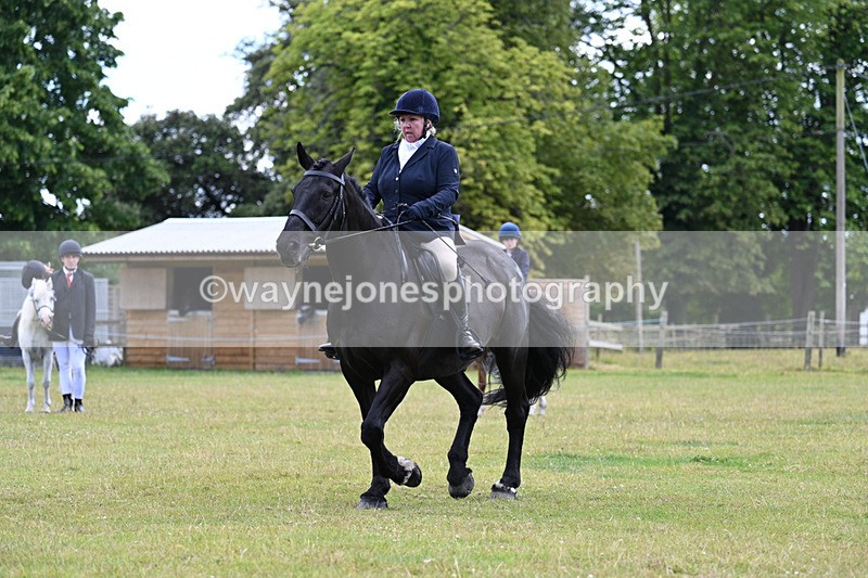 WJ7_9561 - Class 8 Ridden Veterans