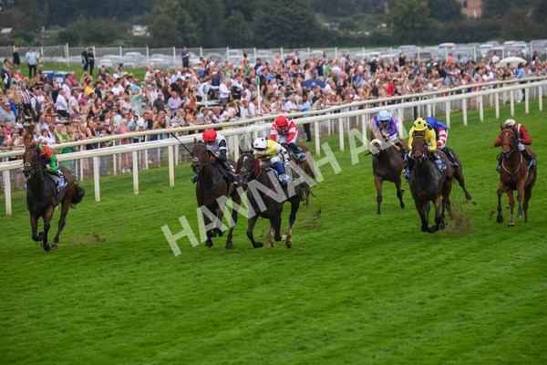 100923-Race 5-Commanche Falls-0871 - Race 5 3.50pm BetGoodwin Garrowby Stakes