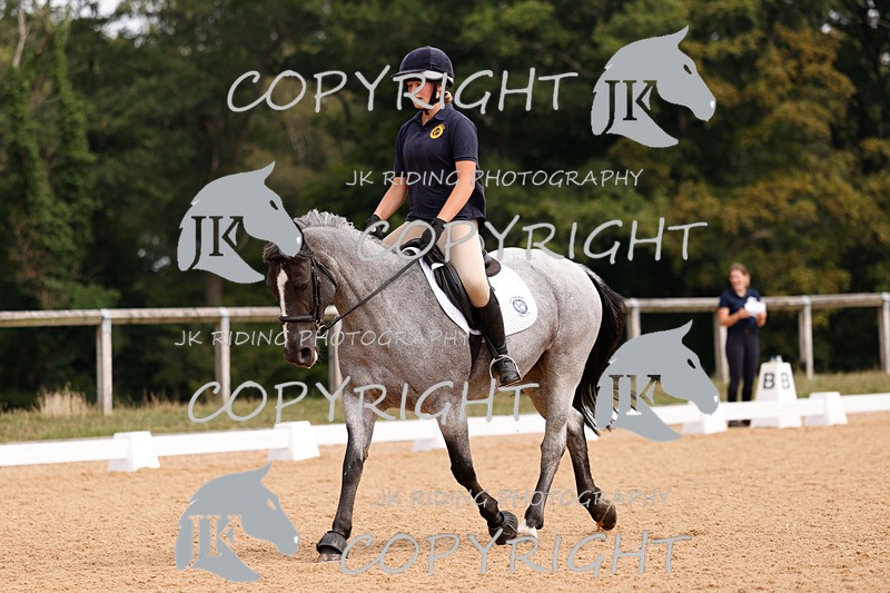_R6A2847 - Dressage Morning