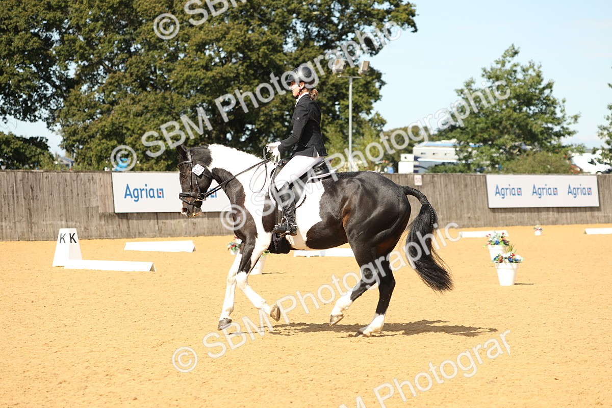SBM_22182 - D17 - Grand Tour Championship - Novice 27