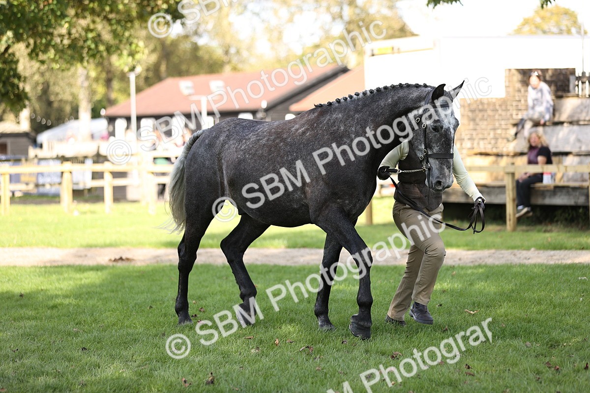 SBM_26272 - S5 - Novice & Newcomers In Hand