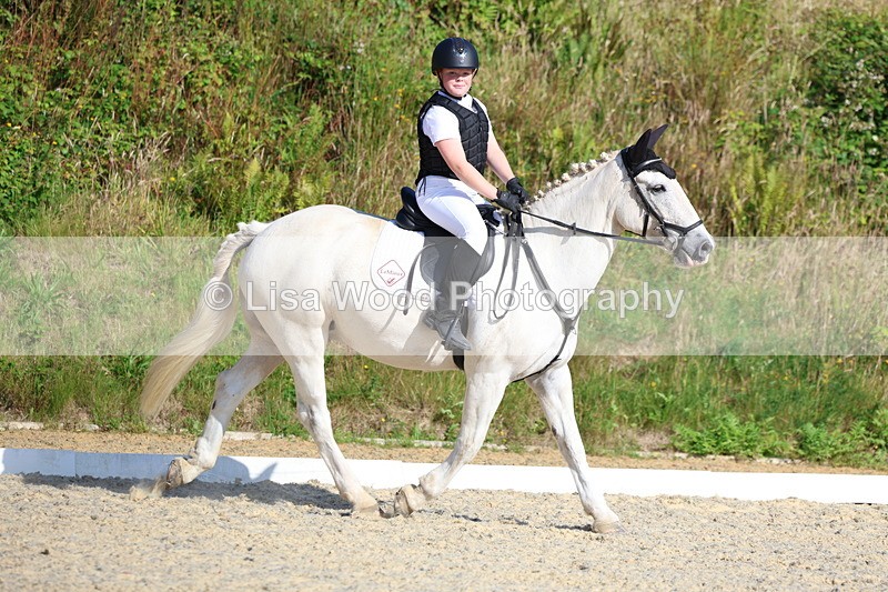 3E7A3355 - Class 2: Intro 1 2024 Section B