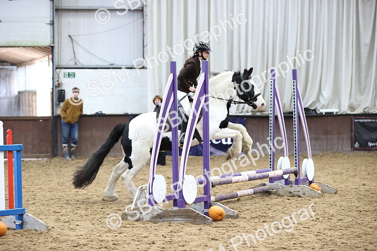 SBM_001188 - Class 3 - Horse & Hound 60cm