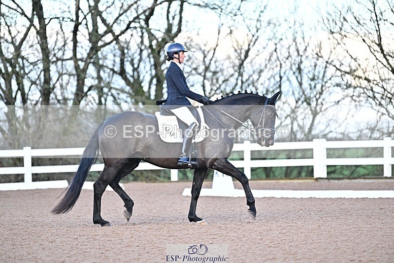 241214-091105-00890 - 151-Elder.Klatzko-Dynasty.Hit