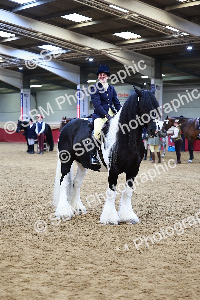 SBM_23466 - class 906 - Supreme Final - Ridden Pre Vet
