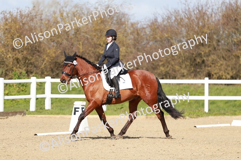 20260314-2878 - DR3 - Prelim 1