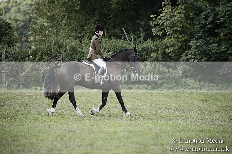 BVR090918 276 - BVRC Dressage and Show Jumping 09/09/18