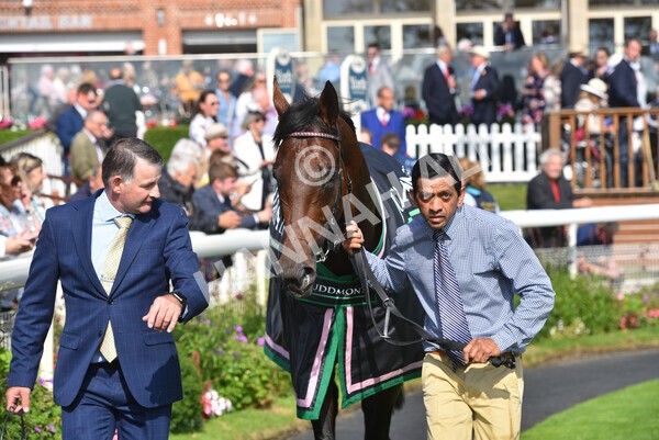 yr18082021r4-187 - Race 4 3.35pm Juddmonte International Stakes (British Champion Series race)