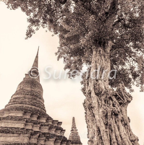 Wat Mahathat # 4 - Sukhothai  スクタイ