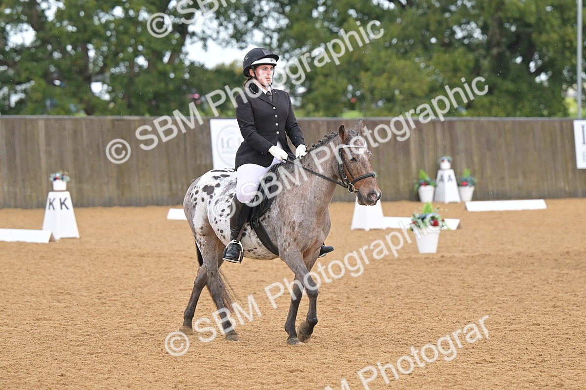 SBM_00511 - D2 - Small Tour Championship Intro 2