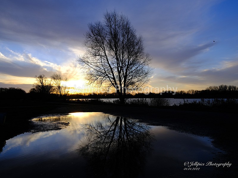  - Landscapes